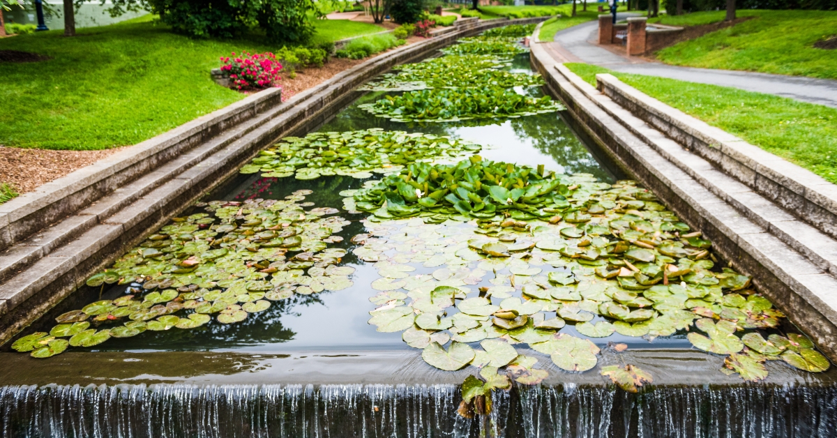 carroll creek in frederick