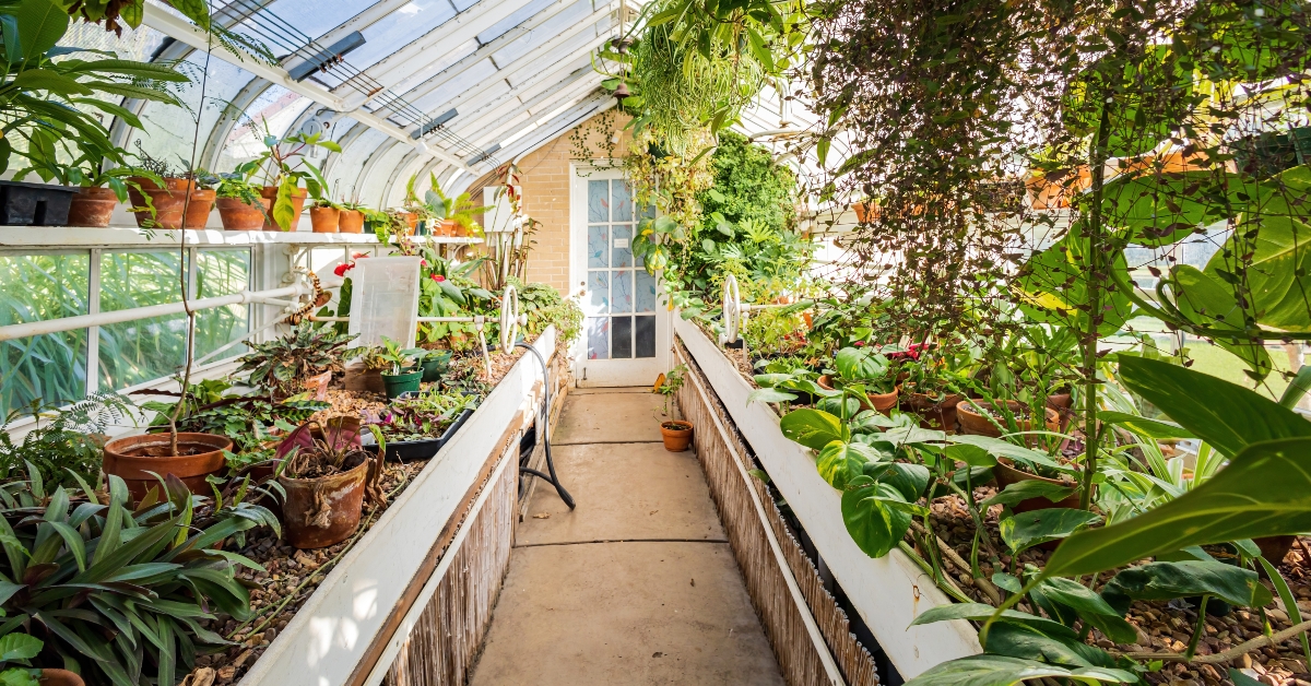 conservatory at woodward park