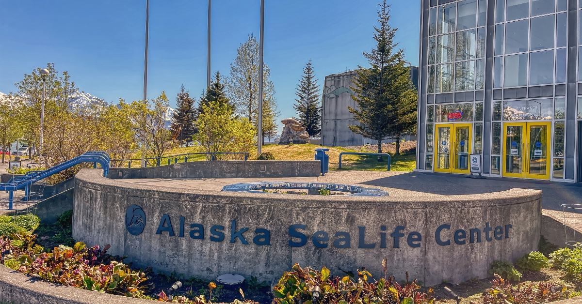 alaska sealife center