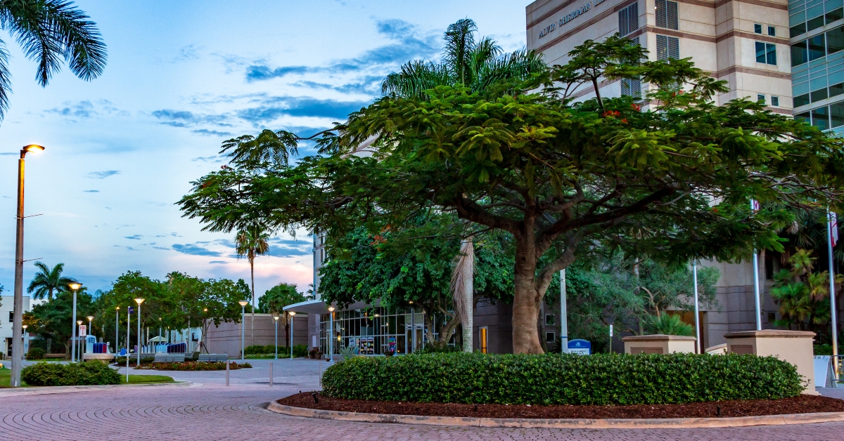 nova southeastern university