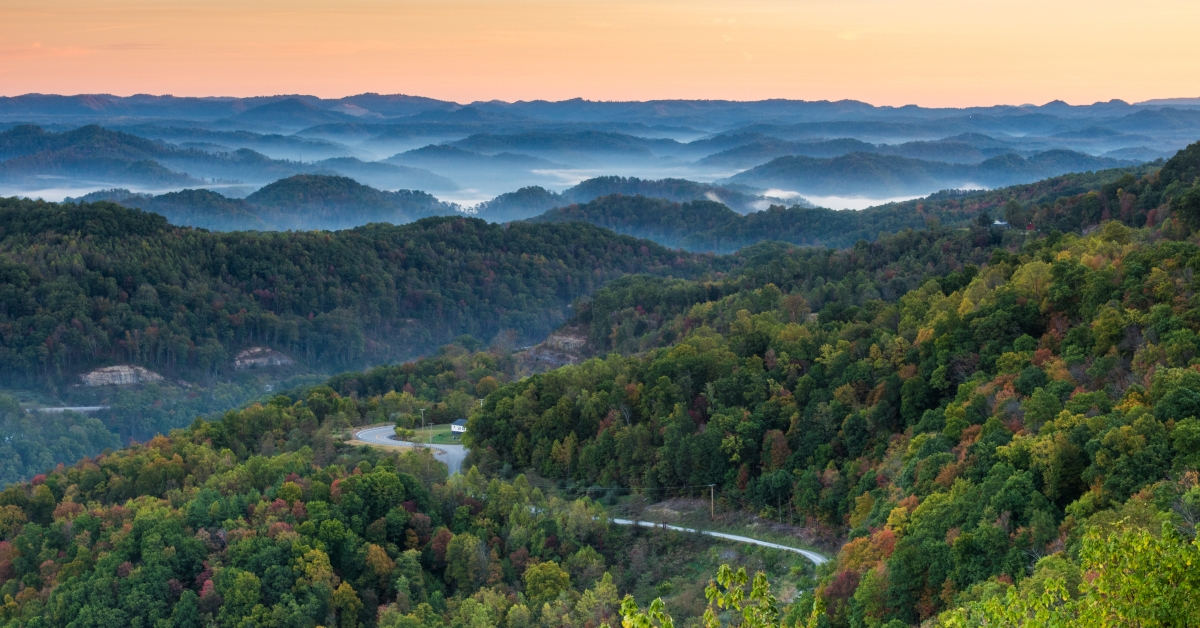 road winding through forest