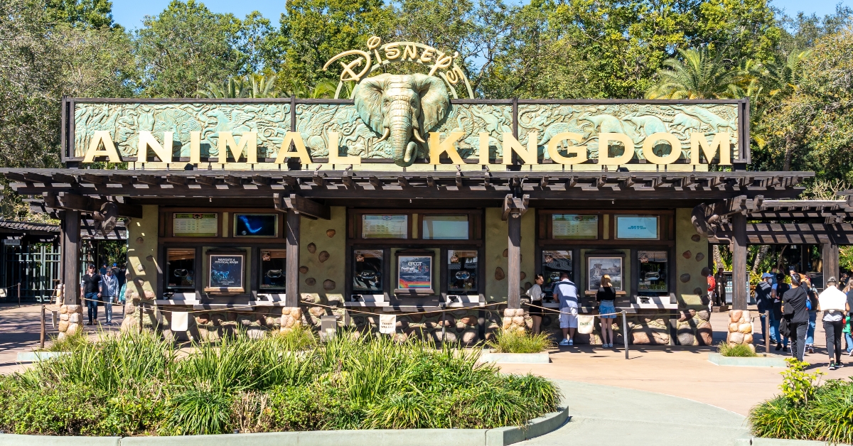 animal kingdom in orlando