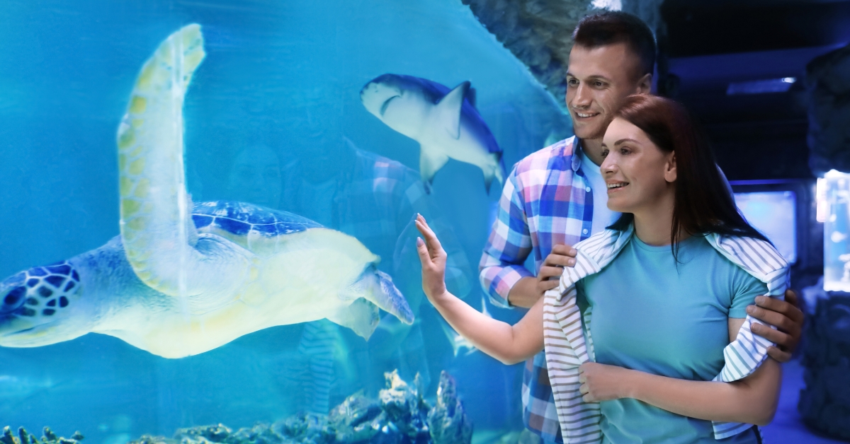 happy couple near aquarium