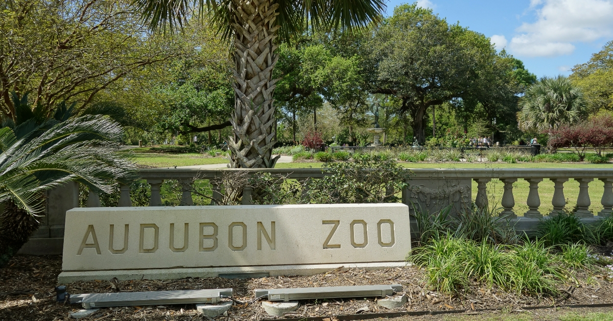 new orleans audubon park zoo