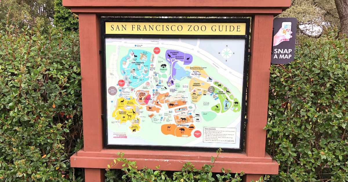 san francisco zoo guide