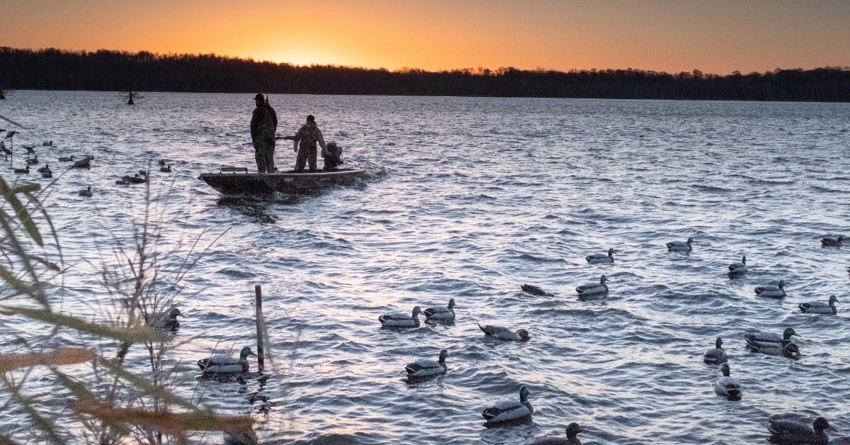 duck hunting on Reelfoot Lake