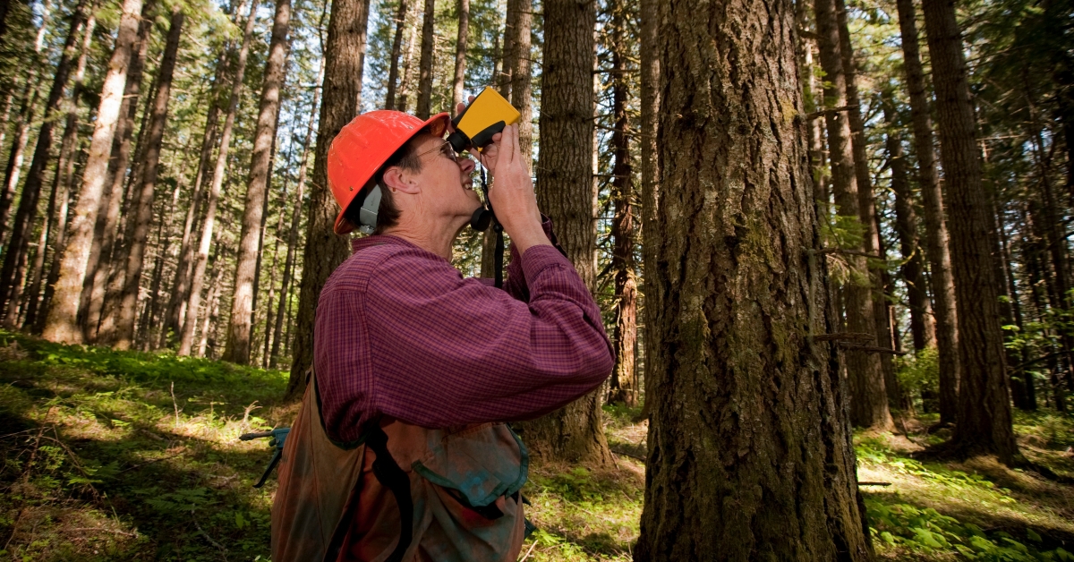 forester in a pacific northwest forest