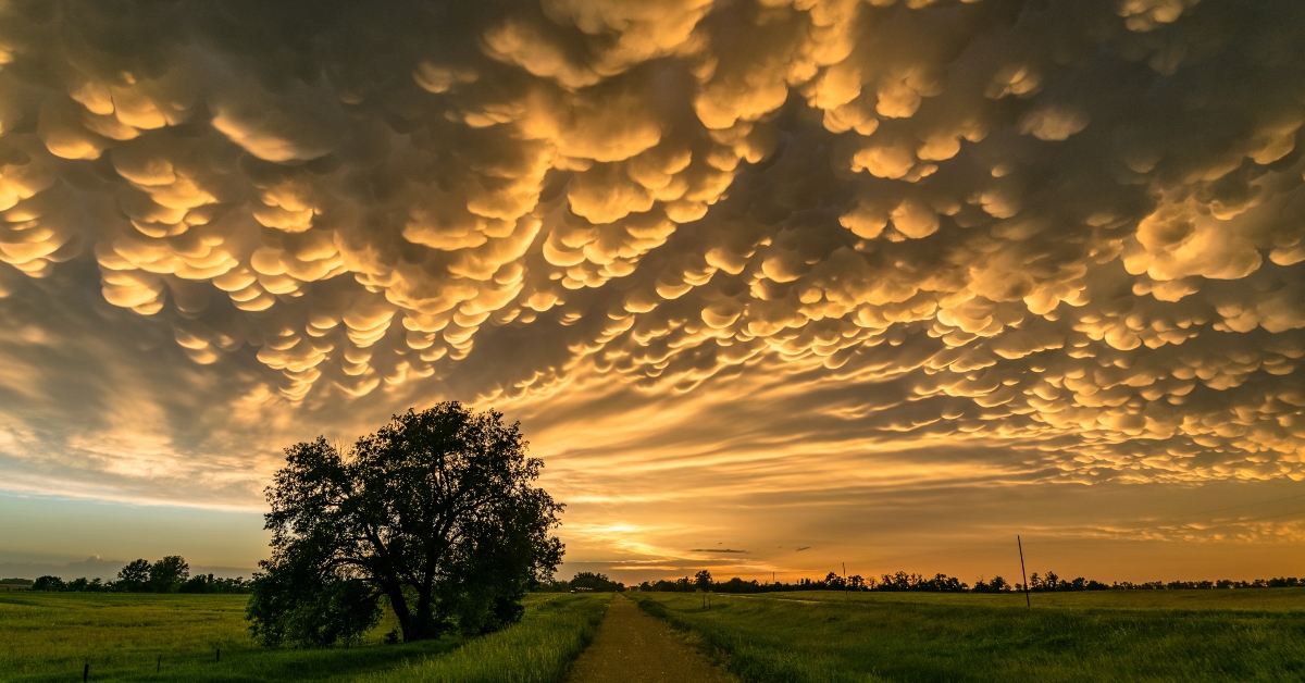 mammatus clouds