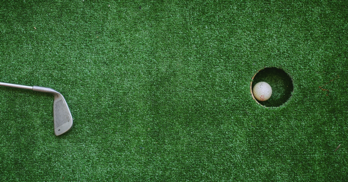 stick lying near golf ball