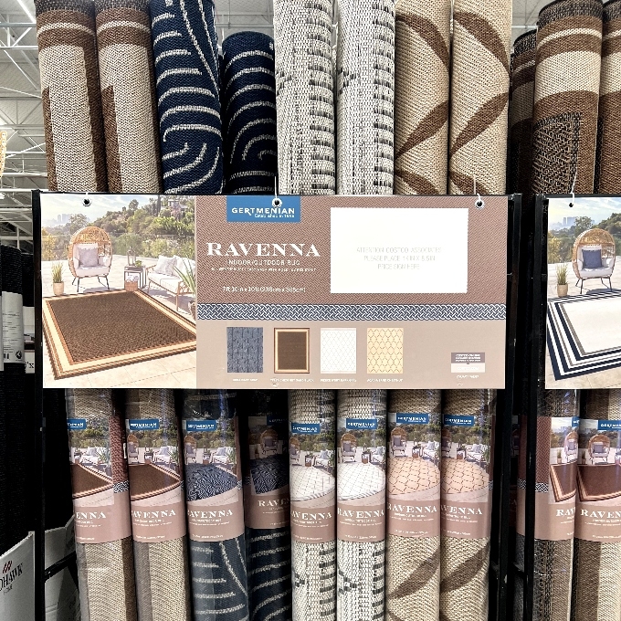 indoor outdoor rug