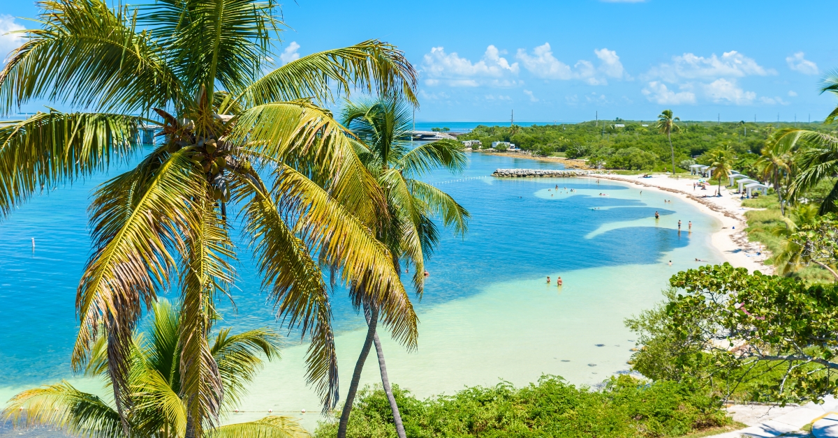 tropical coast with paradise beaches