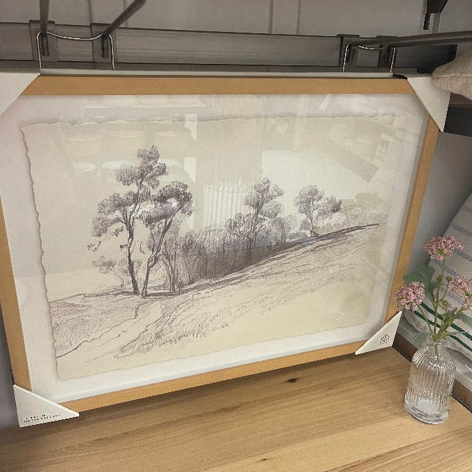magnolia framed sketch