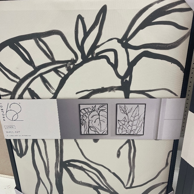 project 62 botanical sketch
