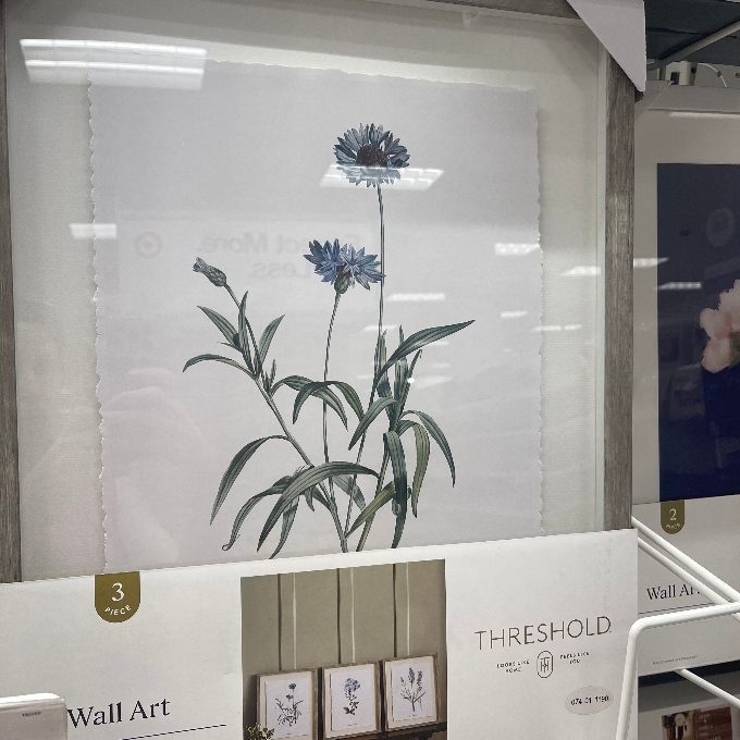 vintage botanicals framed art
