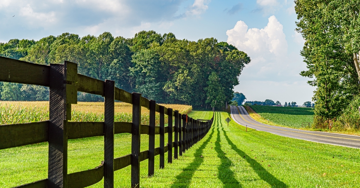 amish country field agriculture