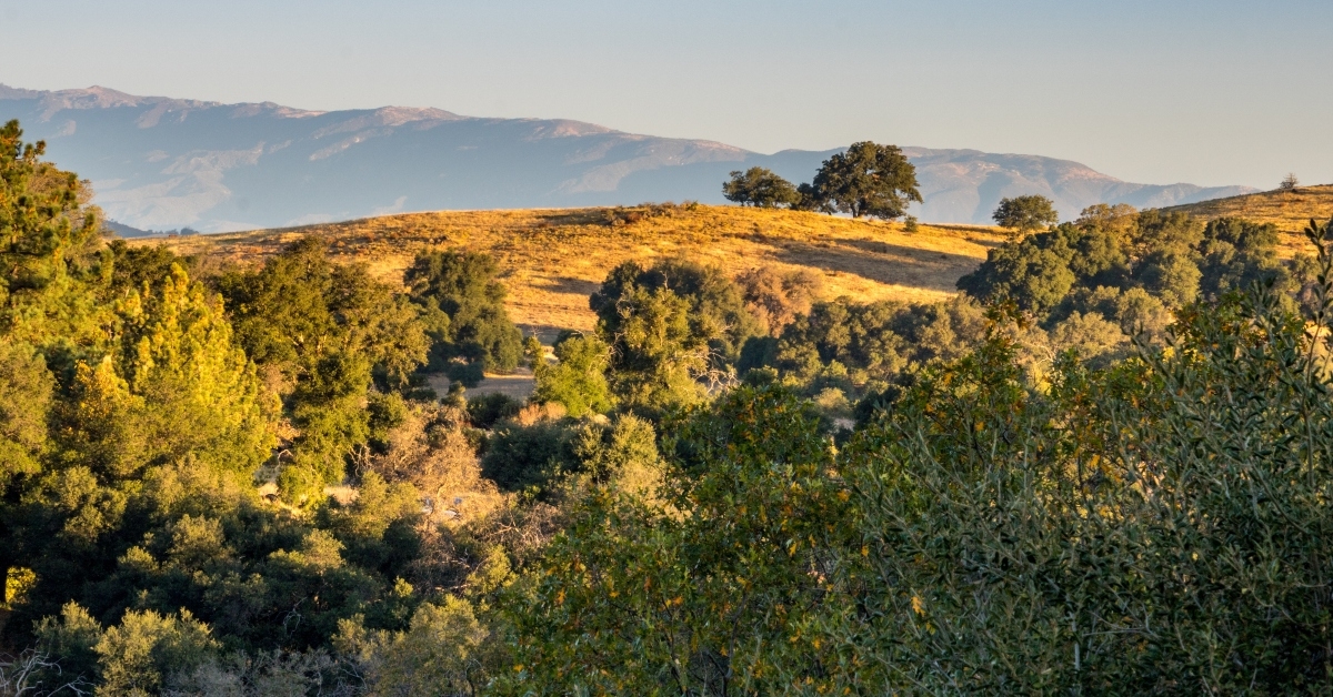 autumn fall landscape