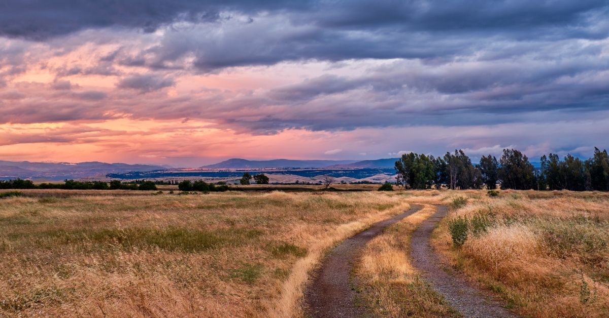 rural country field