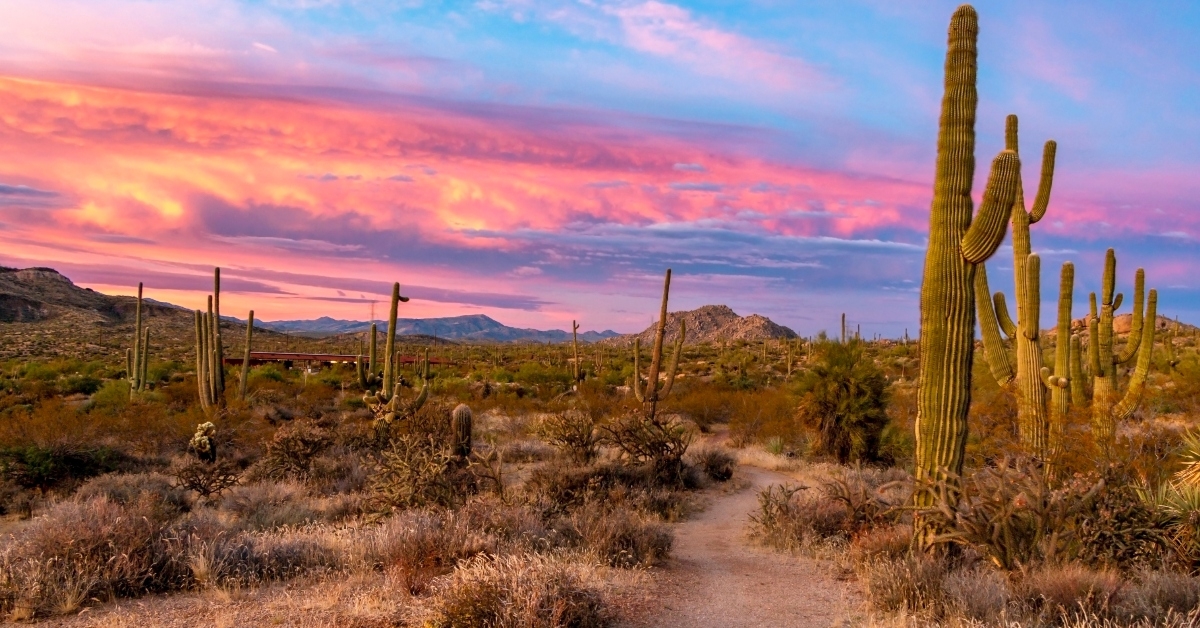 vibrant sunset at browns ranch
