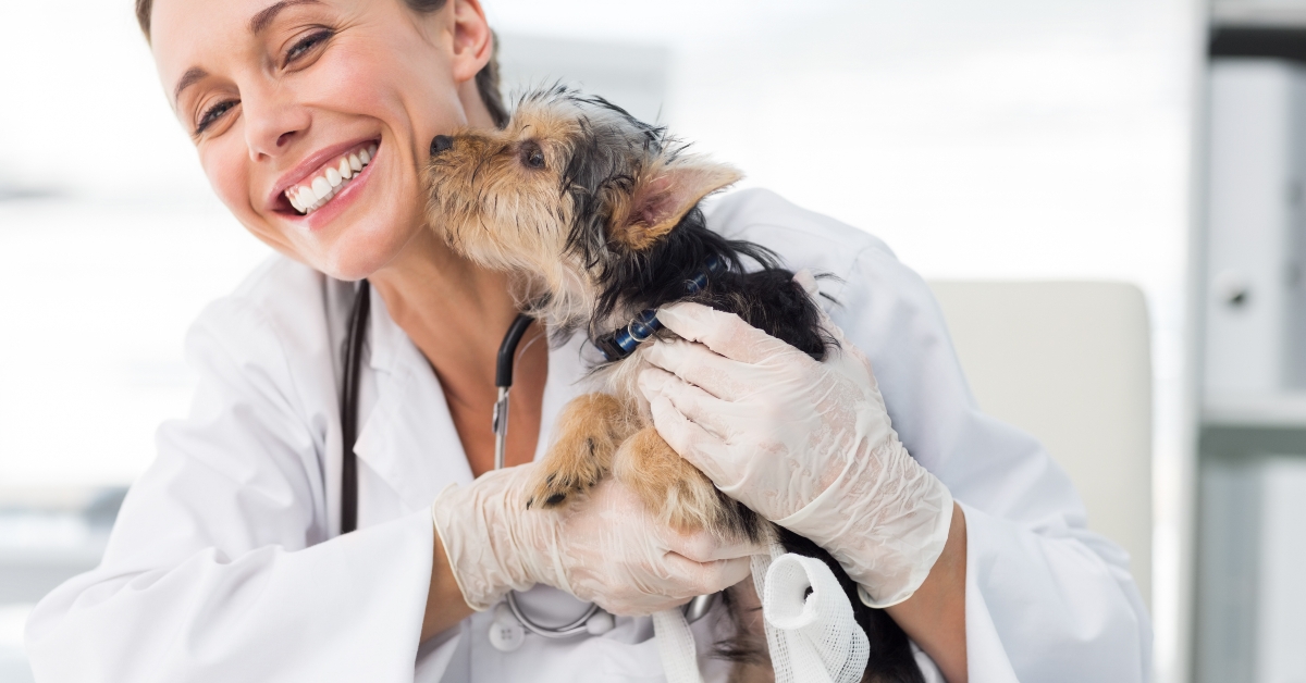puppy kissing female vet
