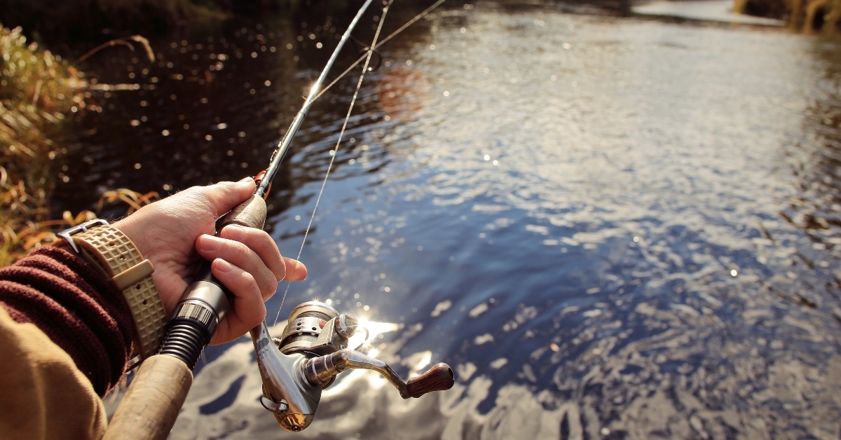 autumn fishing spinning 