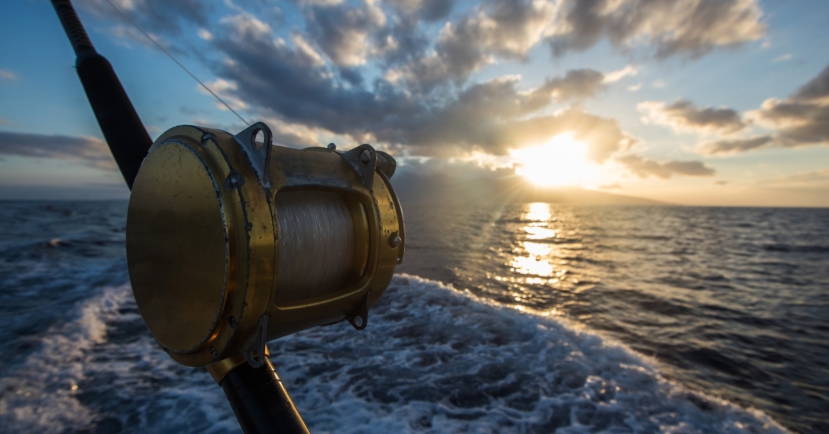 deep sea fishing reel