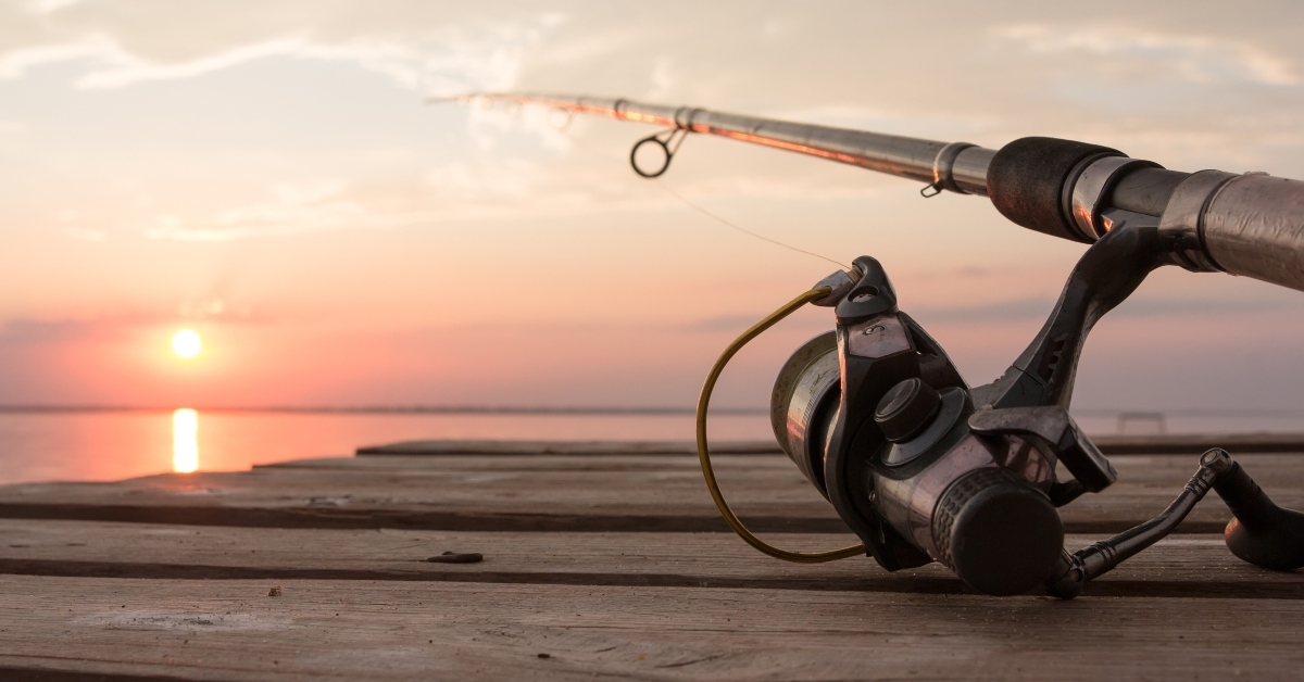 fishing reel and rod