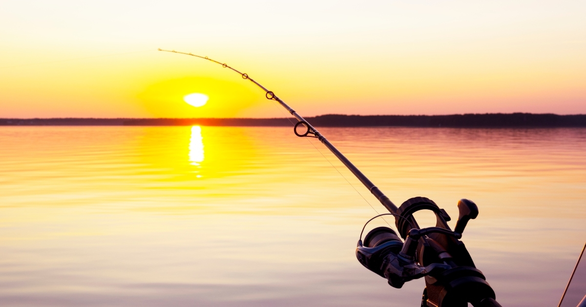 fishing rod spinning with the line