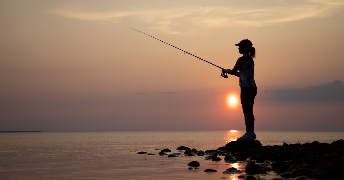 fishing rod spinning 