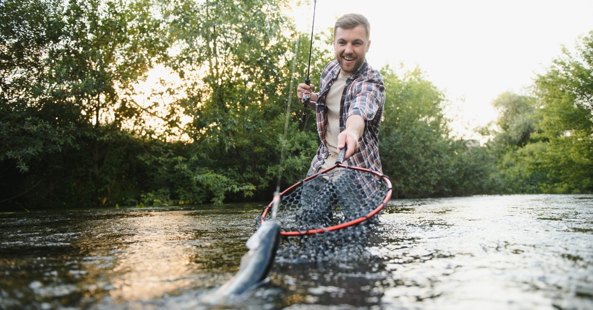 picking up big rainbow trout 