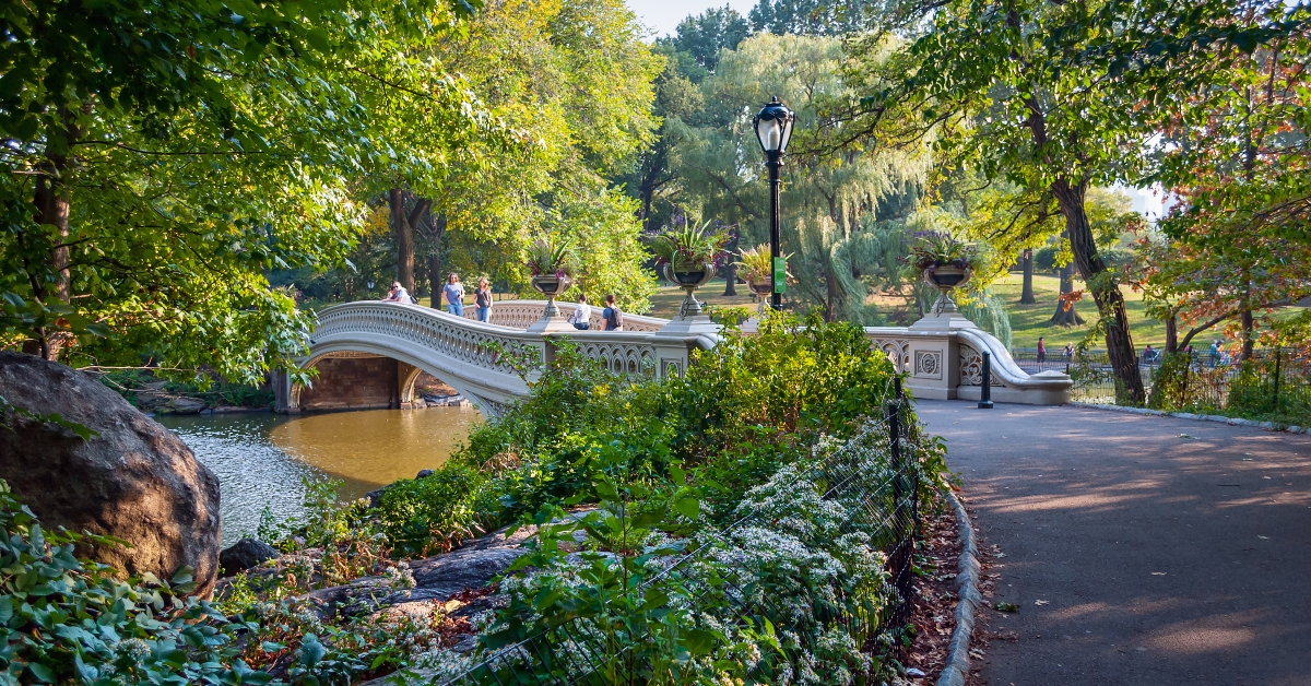 footbridge central park
