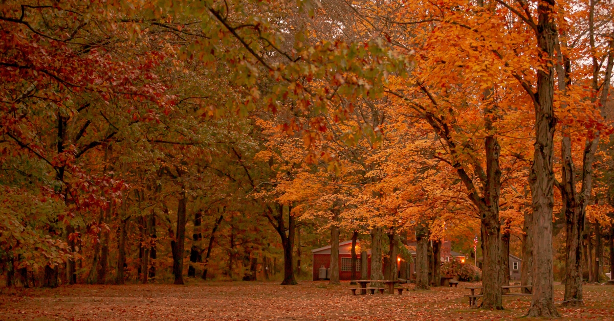 orange connecticut in the fall