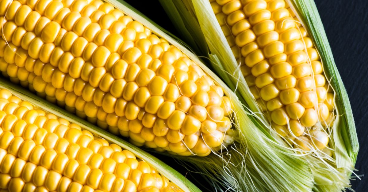 three corn cobs