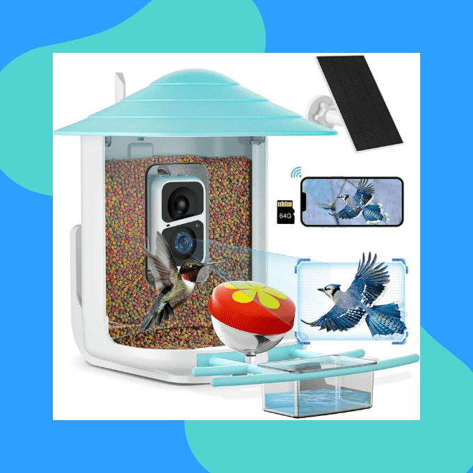 Solar camera bird feeder