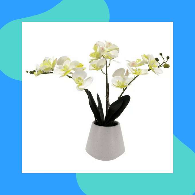 Sonoma Goods artificial orchids arrangement 