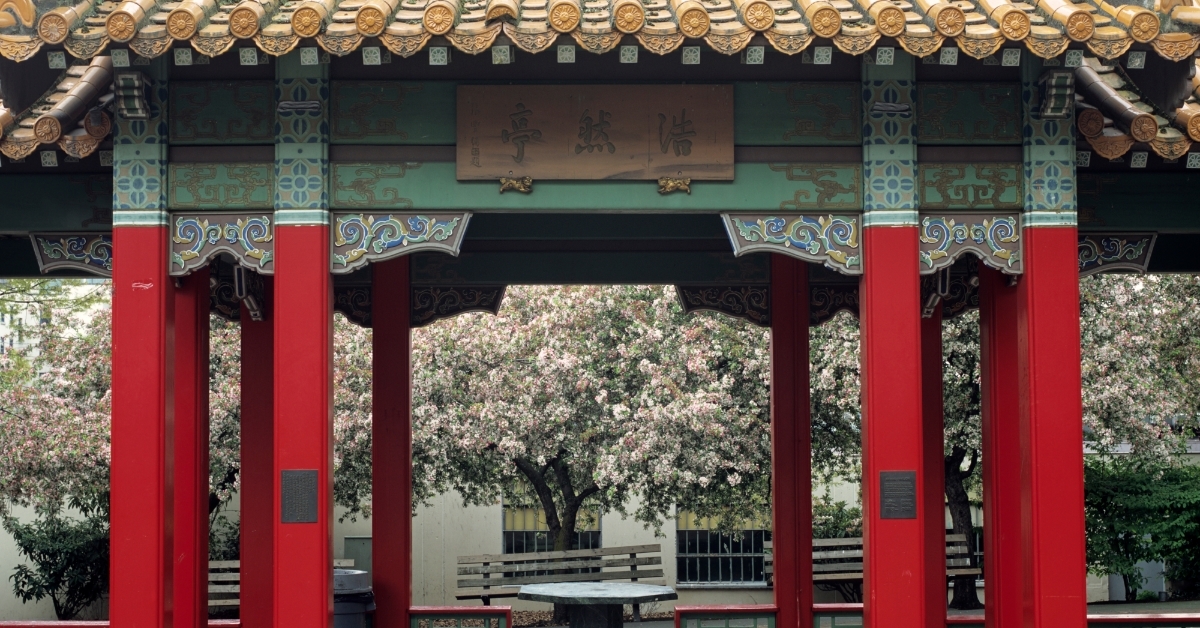 blossoming cherry trees Hing Hay Park