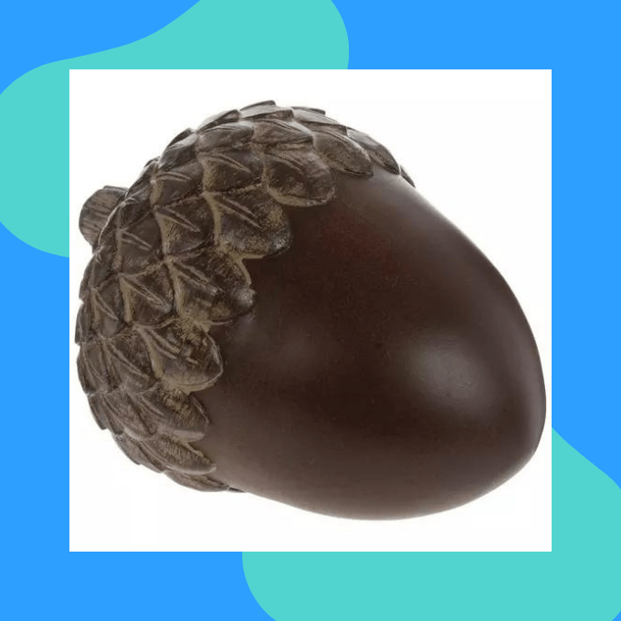 Brown Acorn