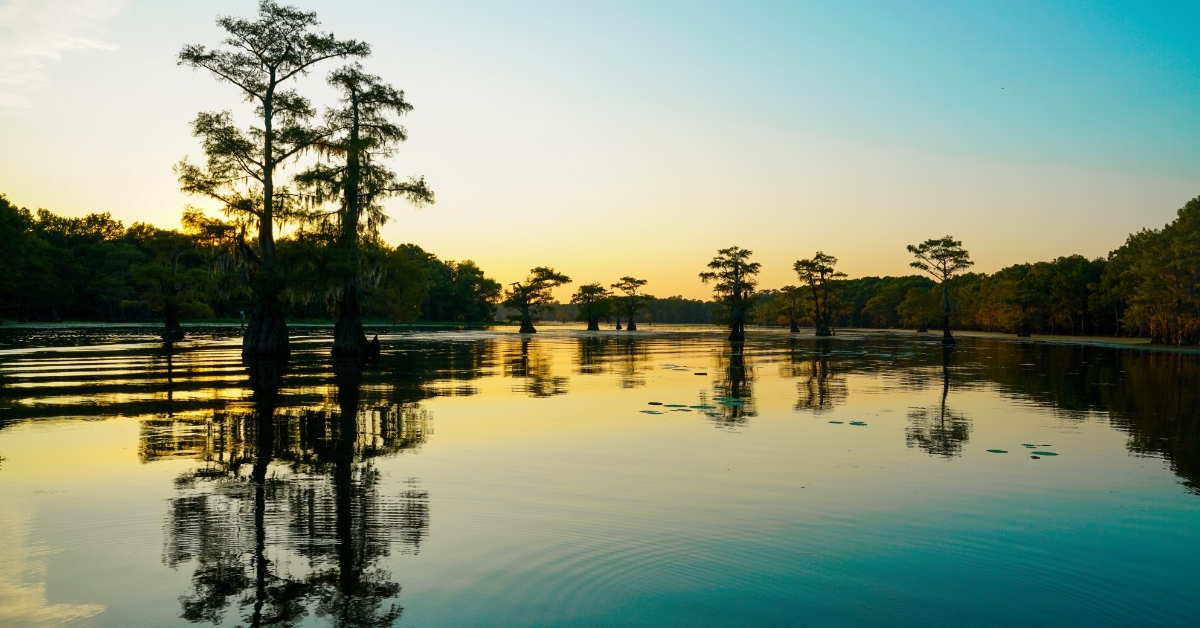 Caddo Lake near Uncertain Texas