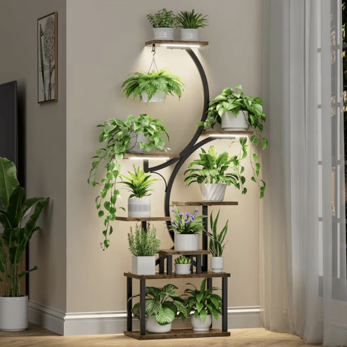 Indoor Plant Stand