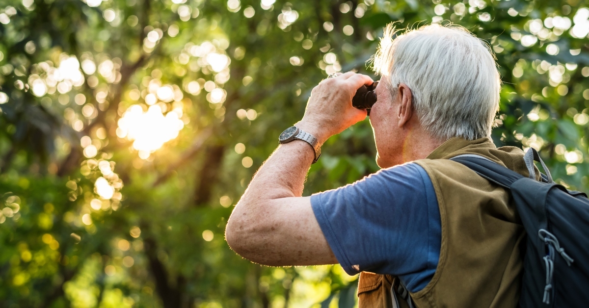 elderly man watching birds