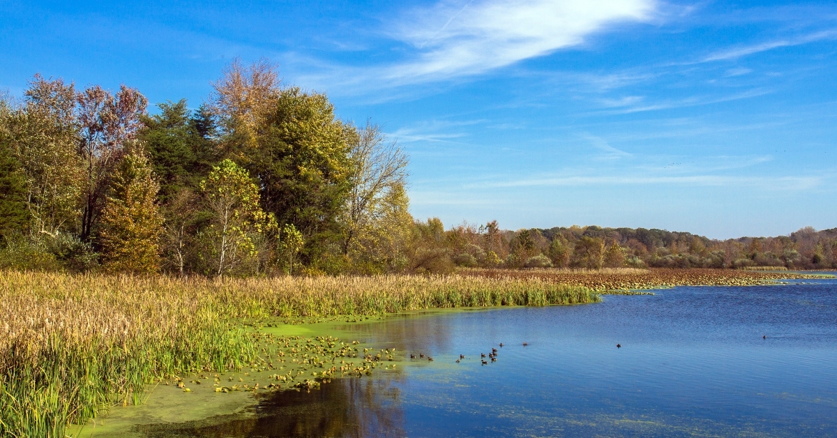 muscatatuck national wildlife refuge
