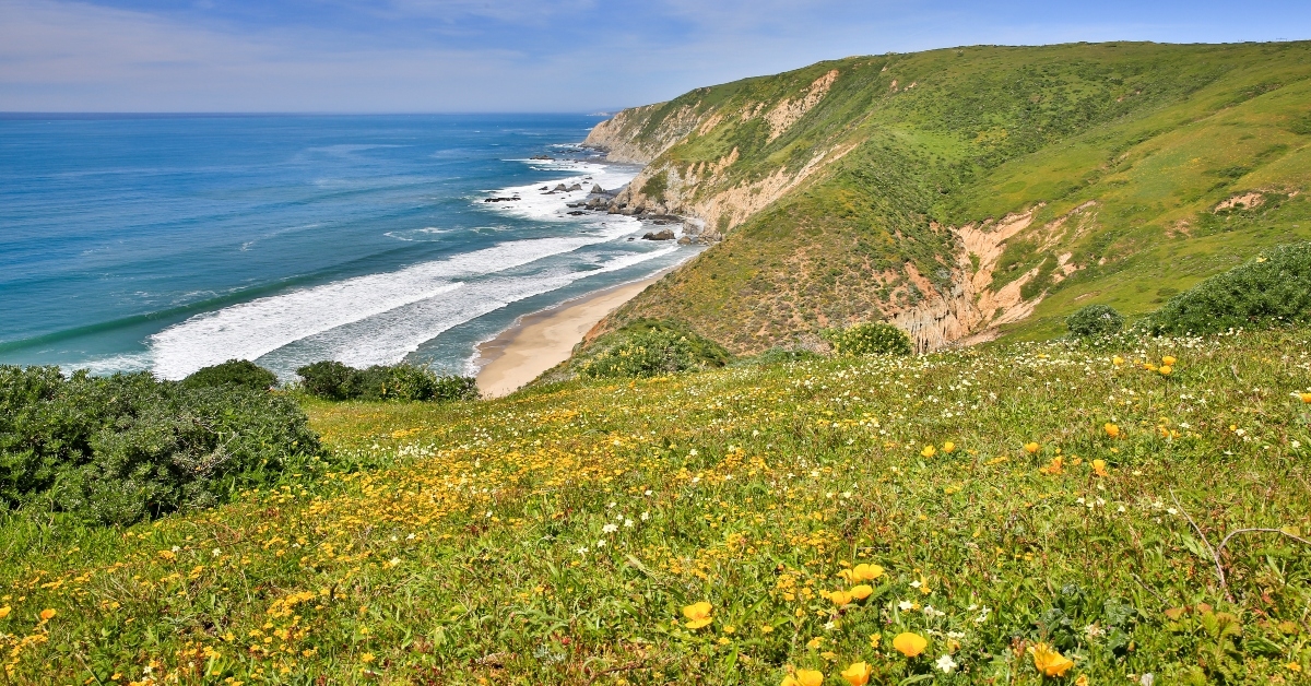 pacific ocean coastline