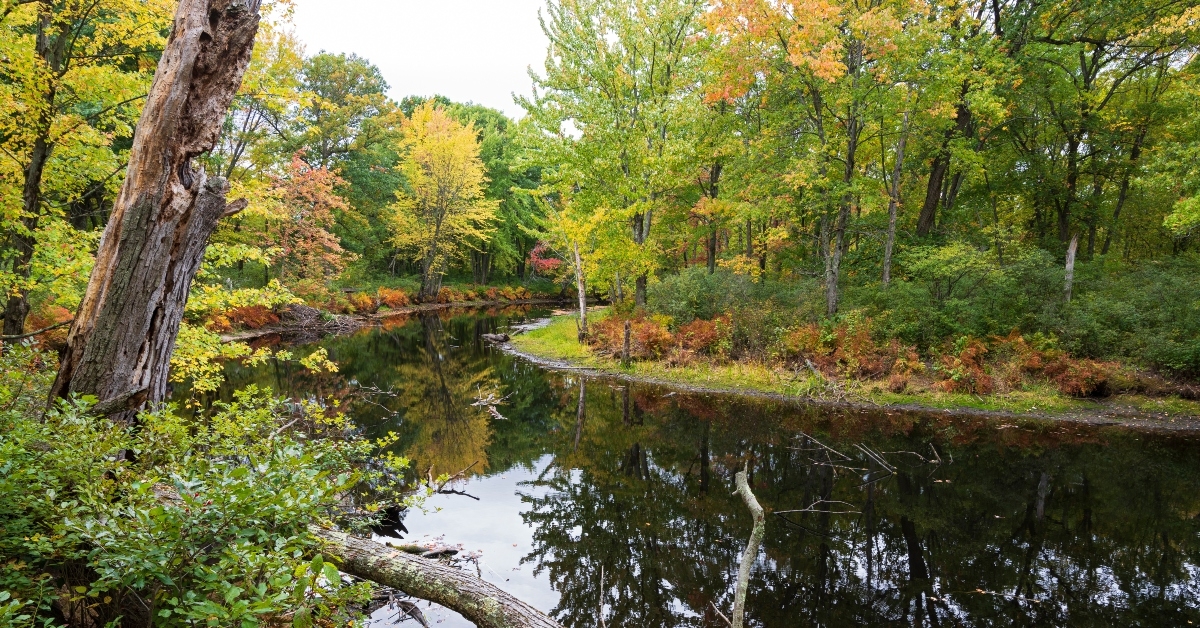 maquam creek at missisquoi refuge