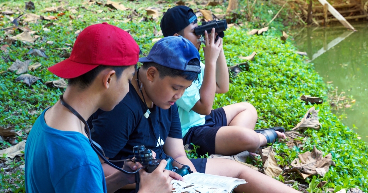 searching for types of birds