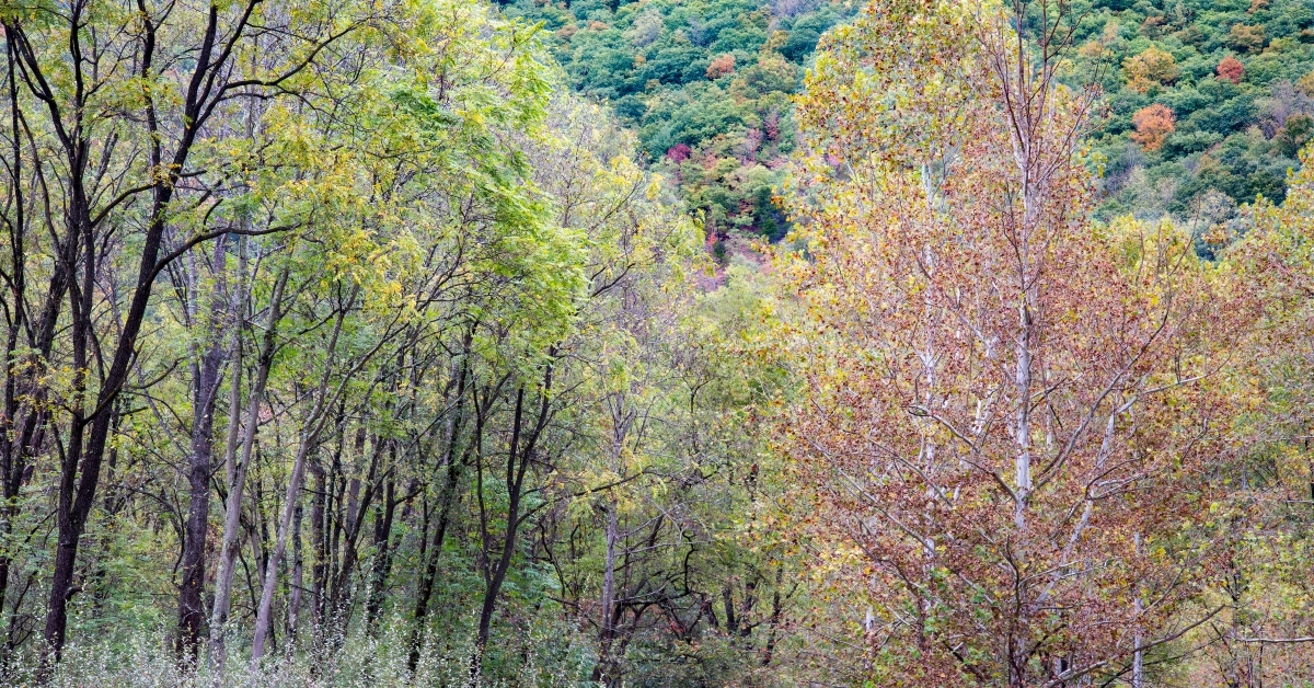 smoke hole canyon