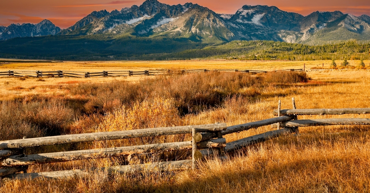 split rail fence