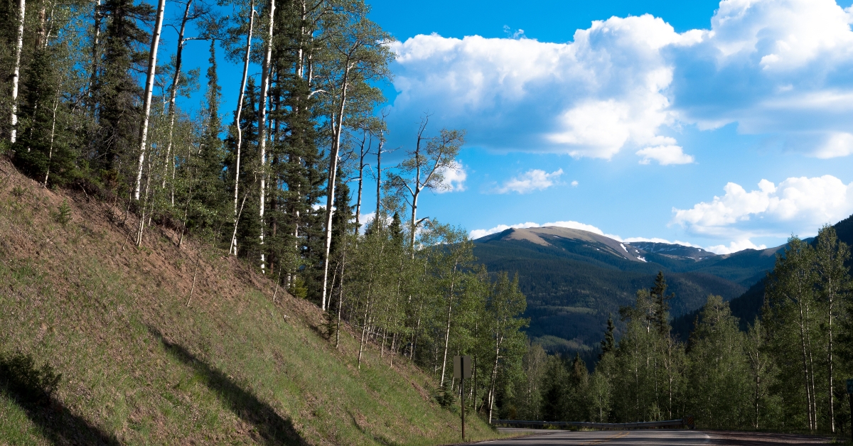 road through carson national forest