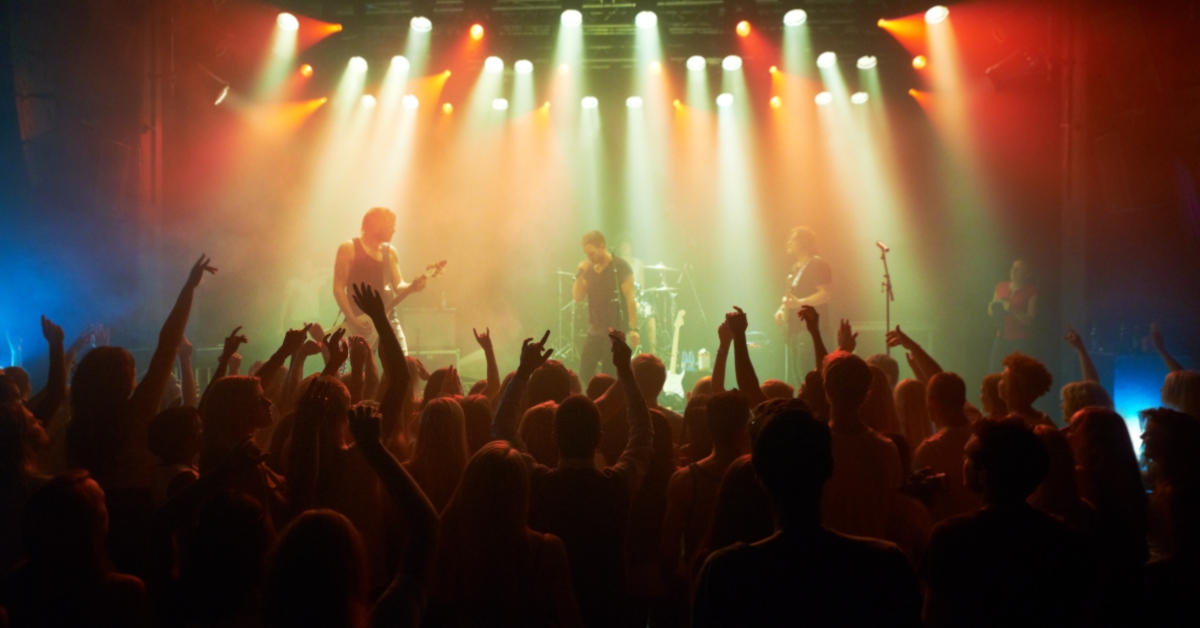 crowd of people at concert