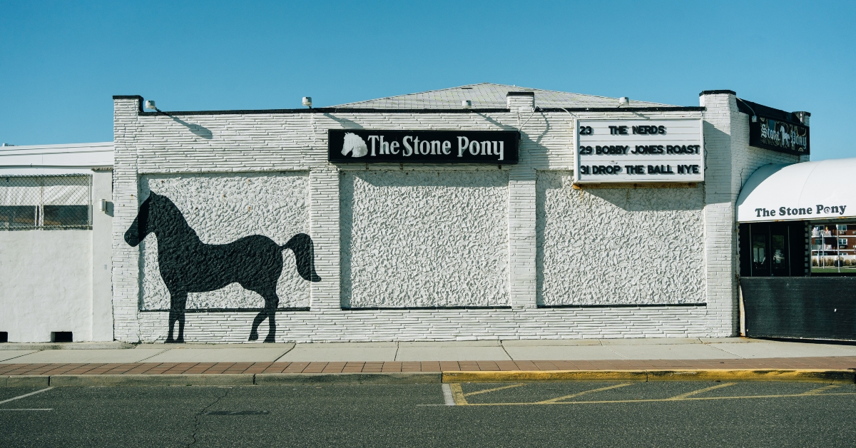 the stone pony vintage sign