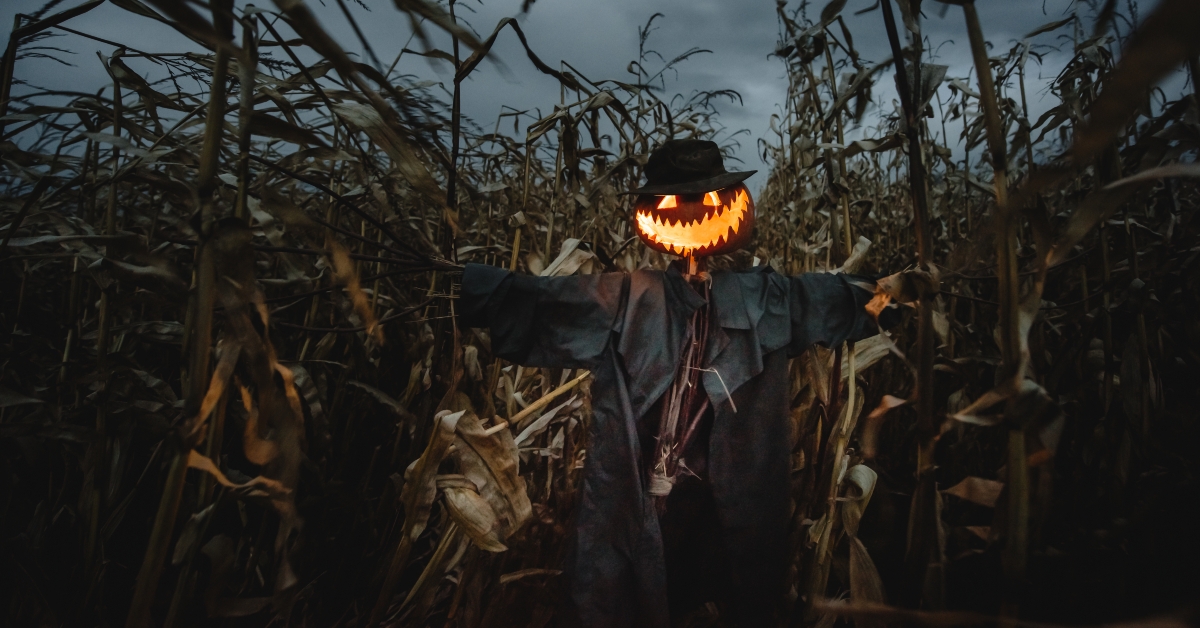 scary scarecrow with pumpkin head