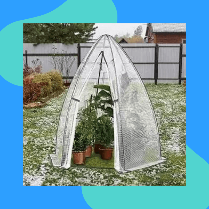 Portable greenhouse